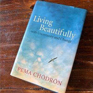 2/$10 1️⃣st edition Living Beautifully by Pema Chödrön
